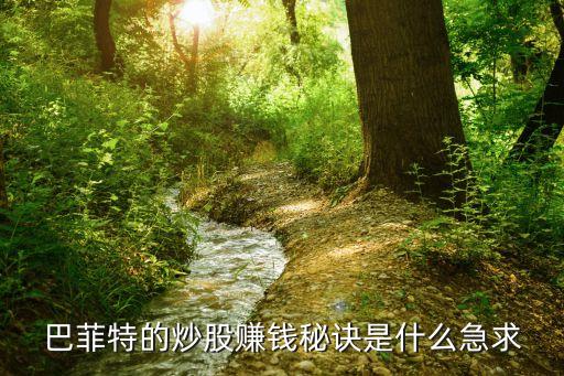 巴菲特的炒股賺錢秘訣是什么急求