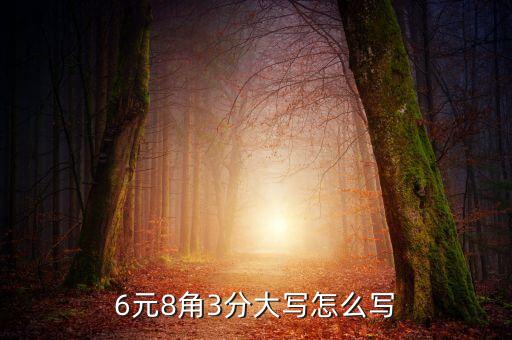 6元8角3分大寫怎么寫