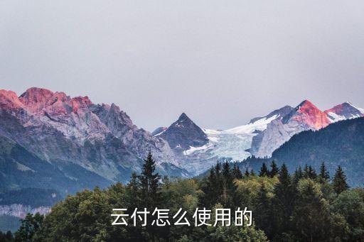 云付怎么使用的