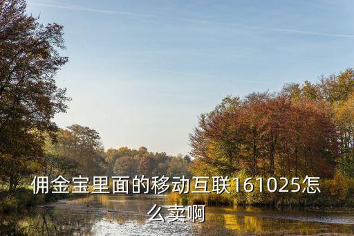 161025怎么拆分，傭金寶里面的移動(dòng)互聯(lián)161025怎么賣啊