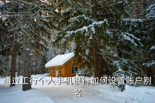 工行卡號別名怎么弄，通過證書版工行企業(yè)網(wǎng)上銀行如何設(shè)置賬戶別名