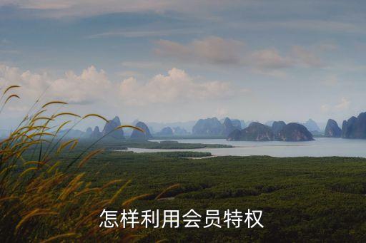 君融貸生活特權(quán)怎么用，生活特權(quán)禮包怎么領(lǐng)啊