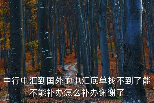 中行電匯到國(guó)外的電匯底單找不到了能不能補(bǔ)辦怎么補(bǔ)辦謝謝了