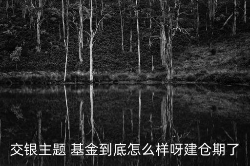 交銀主題 基金到底怎么樣呀建倉期了