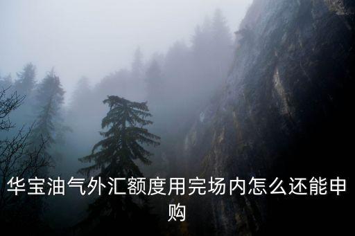 華寶油氣 怎么買，華寶油氣外匯額度用完場(chǎng)內(nèi)怎么還能申購