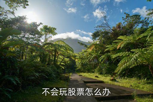 自己不會(huì)炒股票怎么辦，不會(huì)玩股票怎么辦