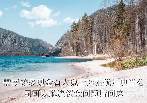 泰優(yōu)匯典當(dāng)怎么樣，叔叔最近準(zhǔn)備外出公干一年想把車子典當(dāng)在泰優(yōu)匯讓我網(wǎng)上看看