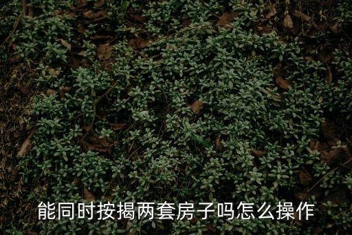 同時(shí)買兩套房怎么做貸款，能同時(shí)按揭兩套房子嗎怎么操作