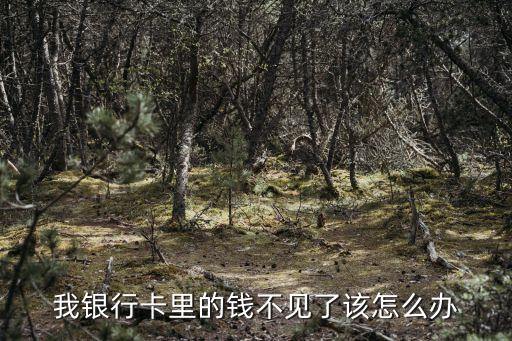 我銀行卡里的錢不見了該怎么辦