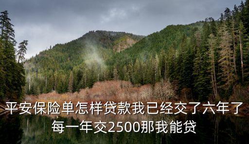 平安保單寶貸款怎么貸款嗎，平安保險(xiǎn)用保單怎么貸款