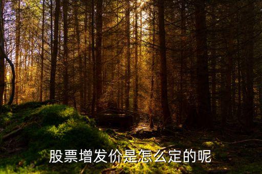 公開增發(fā)的價格怎么定，股票增發(fā)價是怎么定的呢
