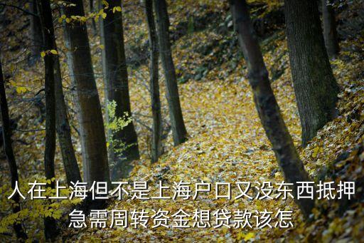 上海急用錢怎么辦，人在上海但不是上海戶口又沒東西抵押急需周轉(zhuǎn)資金想貸款該怎