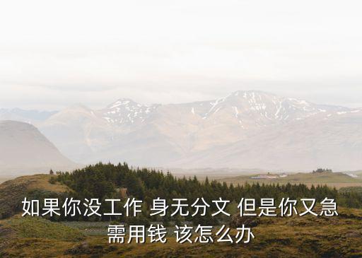 如果你沒(méi)工作 身無(wú)分文 但是你又急需用錢 該怎么辦