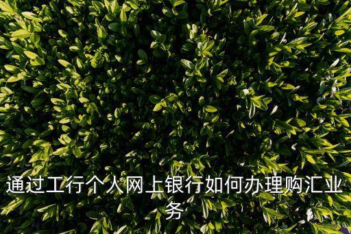 通過工行個人網(wǎng)上銀行如何辦理購匯業(yè)務(wù)