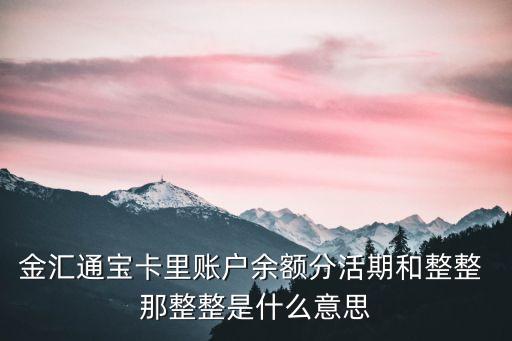 金匯通寶卡里賬戶余額分活期和整整 那整整是什么意思