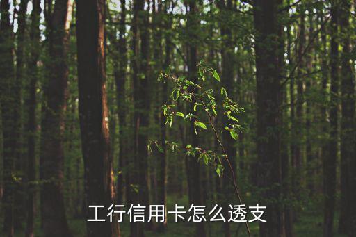 工行信用卡怎么透支