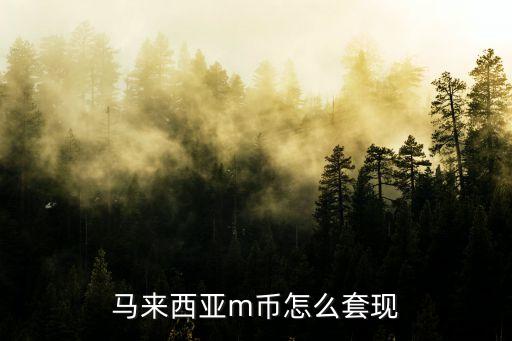 馬來西亞m幣怎么套現(xiàn)