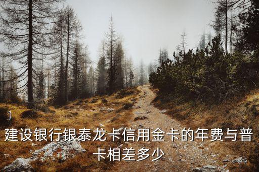 建設銀行銀泰龍卡信用金卡的年費與普卡相差多少