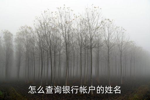 怎么查詢銀行帳戶的姓名