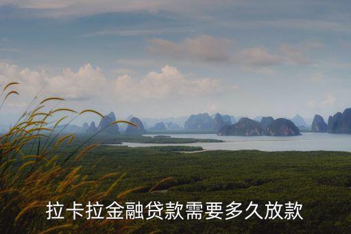 拉卡拉怎么下款快，急需還信用卡聽說拉卡拉 APP比較快放款可靠嗎需要什么資