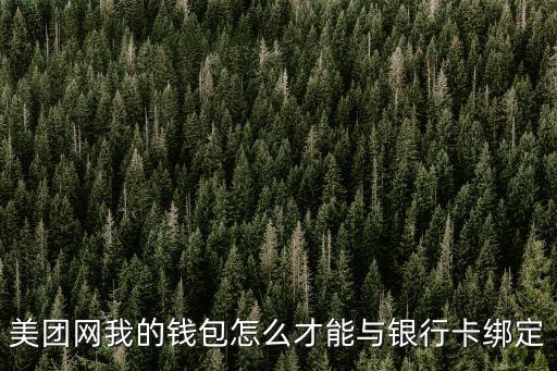 美團(tuán)網(wǎng)我的錢包怎么才能與銀行卡綁定