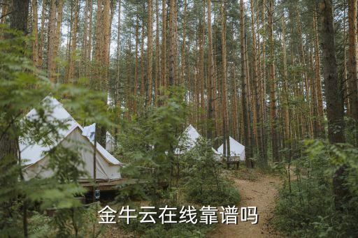金牛云在線靠譜嗎