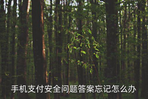 手機(jī)支付安全問題答案忘記怎么辦