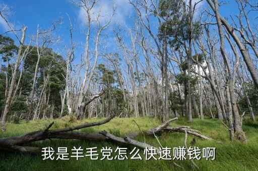 我是羊毛黨怎么快速賺錢啊