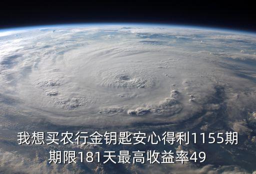 我想買(mǎi)農(nóng)行金鑰匙安心得利1155期期限181天最高收益率49