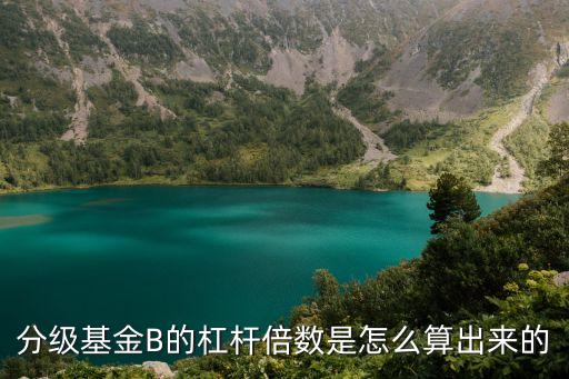 h股b 杠桿怎么算，杠桿比例咋算哈