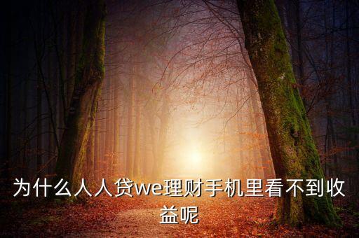 為什么人人貸we理財(cái)手機(jī)里看不到收益呢
