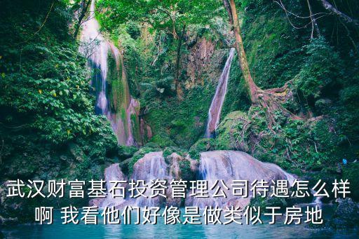 武漢財(cái)富基石投資管理公司待遇怎么樣啊 我看他們好像是做類似于房地