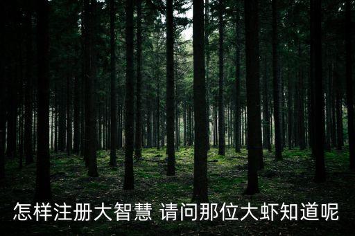 怎樣注冊(cè)大智慧 請(qǐng)問那位大蝦知道呢