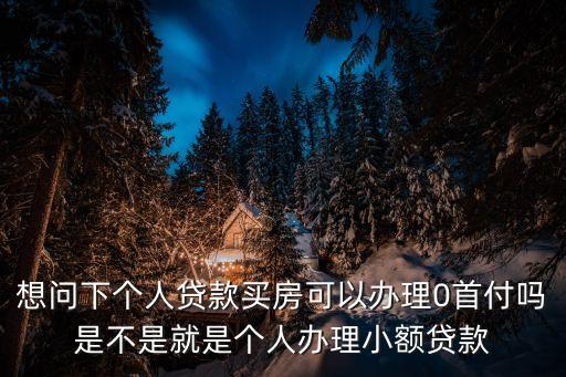 想問(wèn)下個(gè)人貸款買(mǎi)房可以辦理0首付嗎是不是就是個(gè)人辦理小額貸款