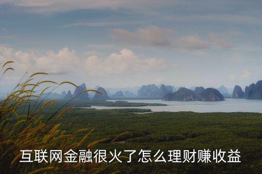 互聯(lián)網(wǎng)金融很火了怎么理財賺收益