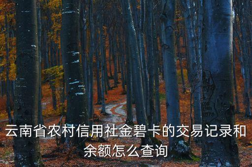 云南農(nóng)村信用社賬戶余額怎么查，云南農(nóng)村信用社如何用短信查詢余額