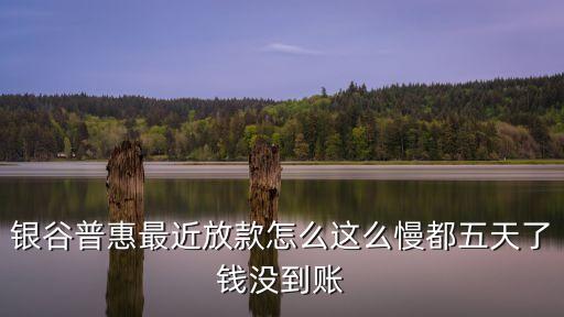銀谷普惠最近放款怎么這么慢都五天了錢沒(méi)到賬