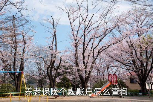 養(yǎng)老保險個人賬戶怎么查詢