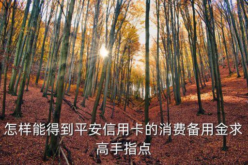 怎樣能得到平安信用卡的消費備用金求高手指點