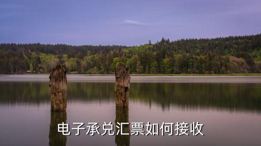 電子承兌怎么看到賬，電子承兌匯票如何接收
