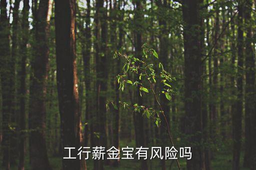 工行的薪金寶怎么樣，工行 薪金寶 怎么樣