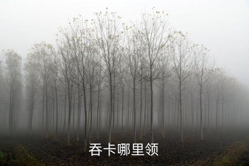 吞卡哪里領