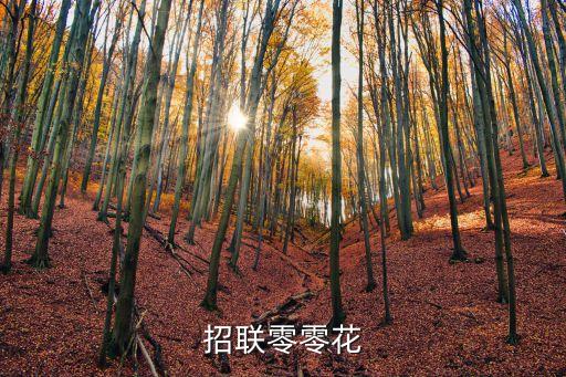 招聯(lián)零零花