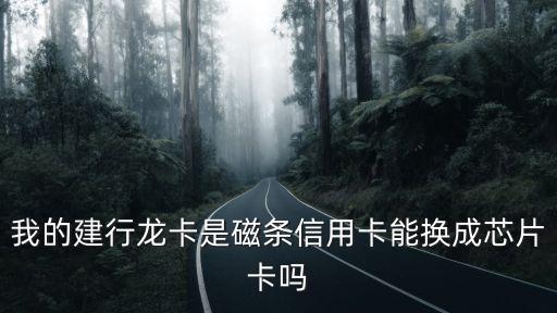 我的建行龍卡是磁條信用卡能換成芯片卡嗎