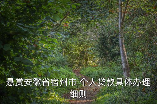 懸賞安徽省宿州市 個(gè)人貸款具體辦理細(xì)則