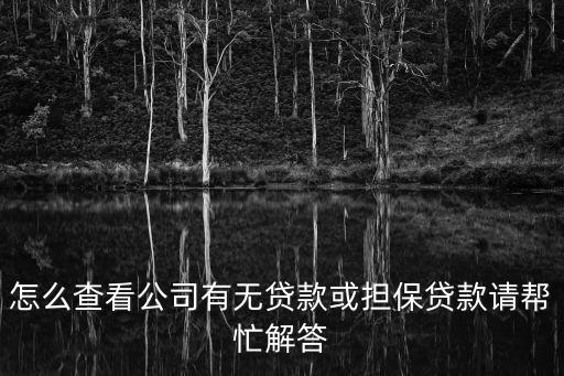 怎么查看公司有無貸款或擔(dān)保貸款請幫忙解答
