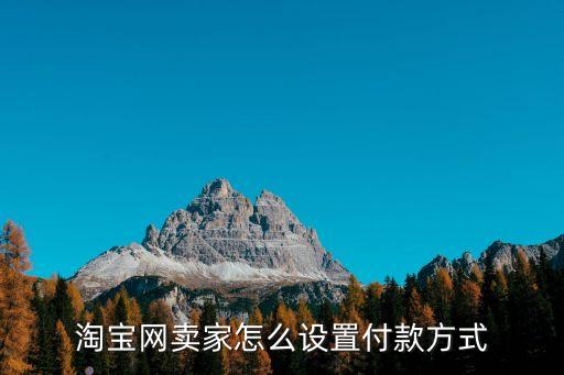 淘寶店鋪賣(mài)家怎么設(shè)置支付方式，淘寶賣(mài)家怎么設(shè)置支付寶以外的付款方式