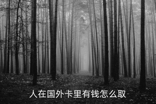 人在國(guó)外卡里有錢怎么取