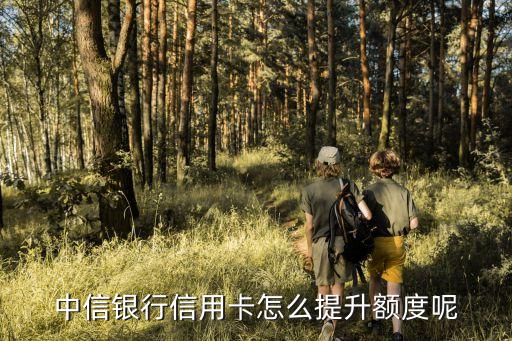 中信怎么曲線提額度，中信銀行信用卡怎么提升額度呢
