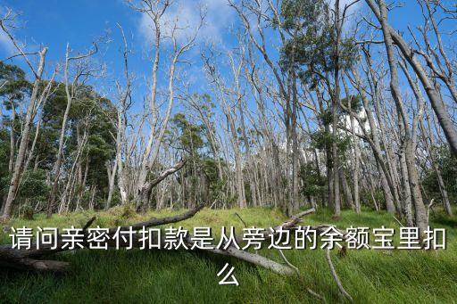 親密付花錢怎么扣，請(qǐng)問親密付扣款是從旁邊的余額寶里扣么